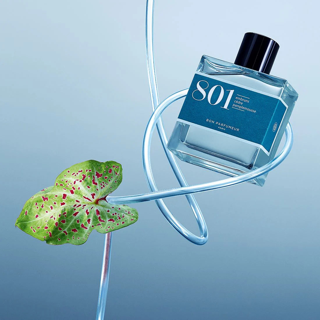 Eau de Parfum #801 100ml Embruns Cedre Pamplemousse