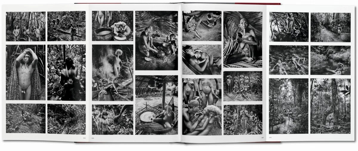 Livre Salgado Genesis