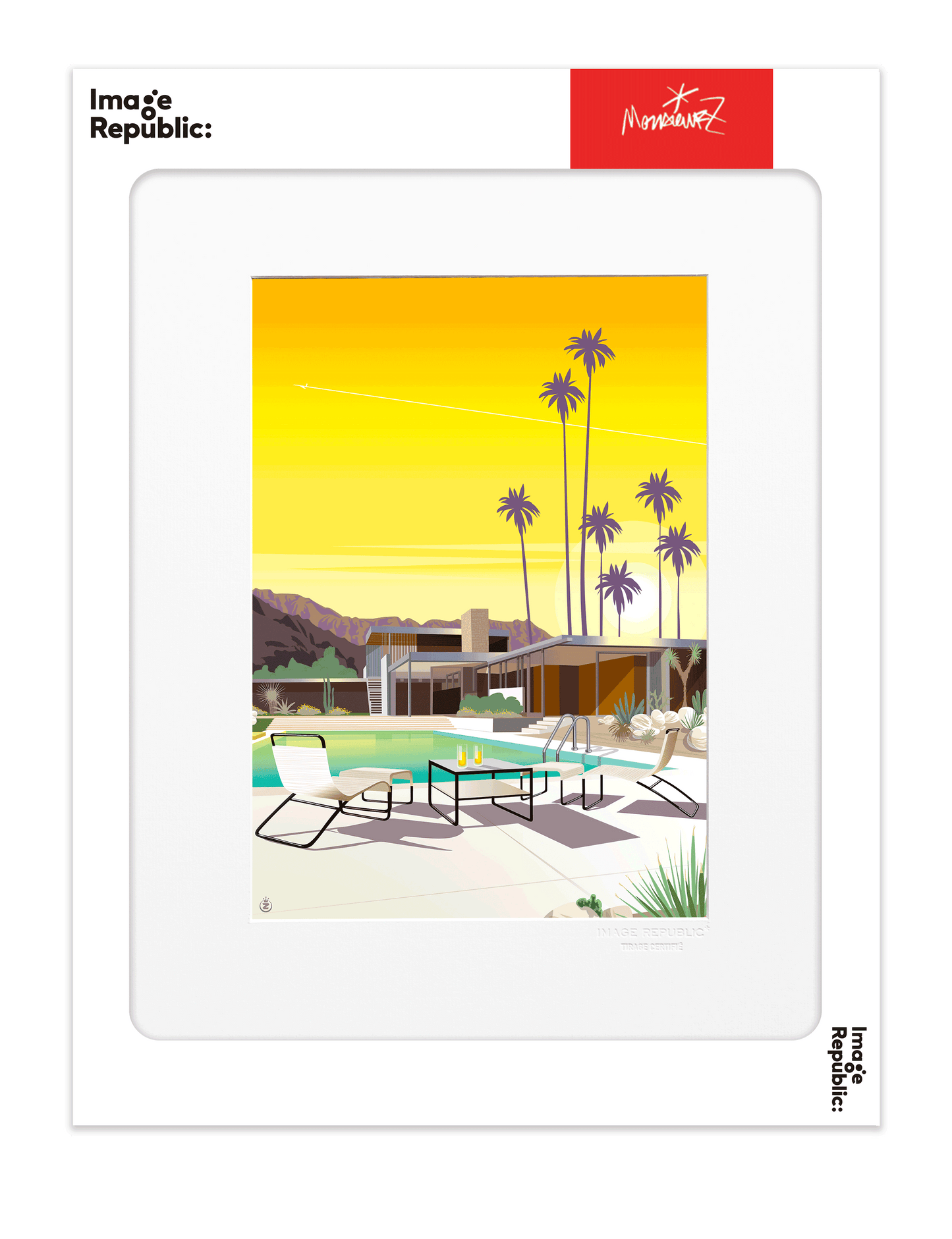 Affiche 40x50 Mr Z Kaufmann House