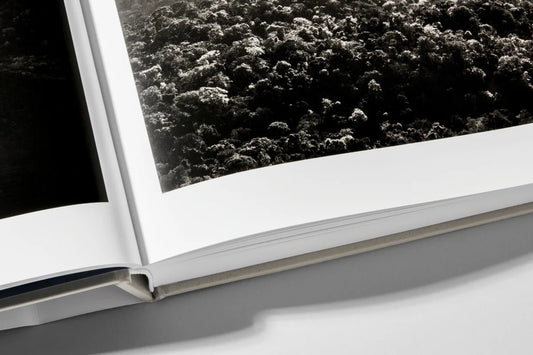 Livre Sebastio Salgado Amazonia