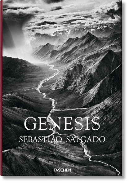 Livre Salgado Genesis