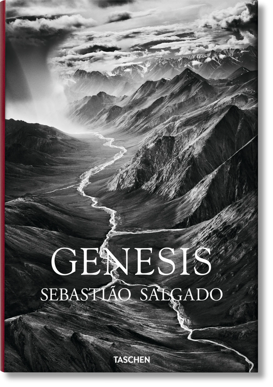 Livre Salgado Genesis