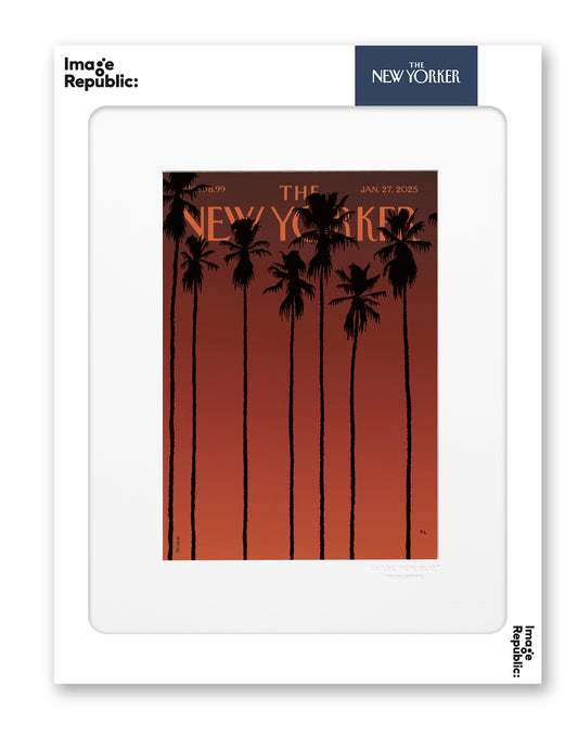 Affiche 30x40 The NewYorker 277