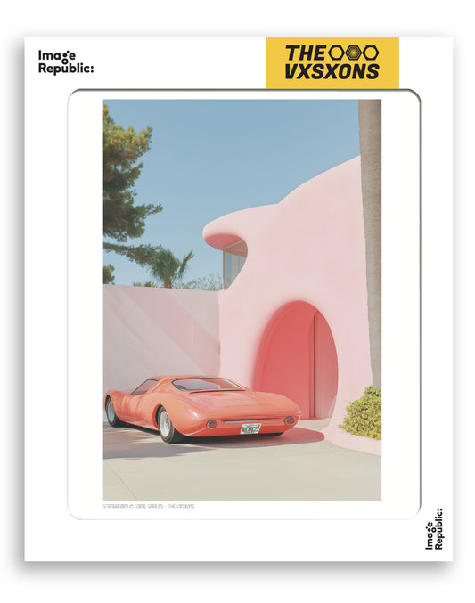 Affiche 30x40 The Vision 027