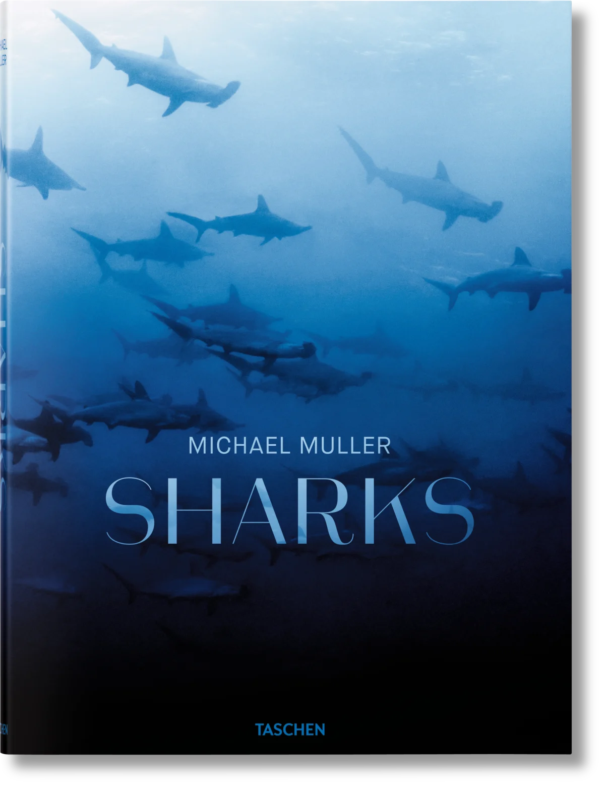 Livre Muller Sharks