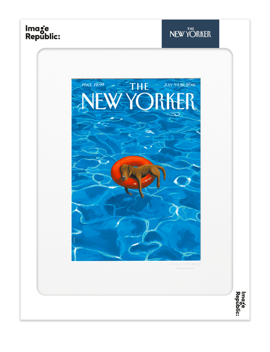 Affiche 40x50 N-Y 196