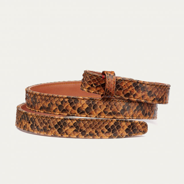 Ceinture Baby Python Moka Serpent Or