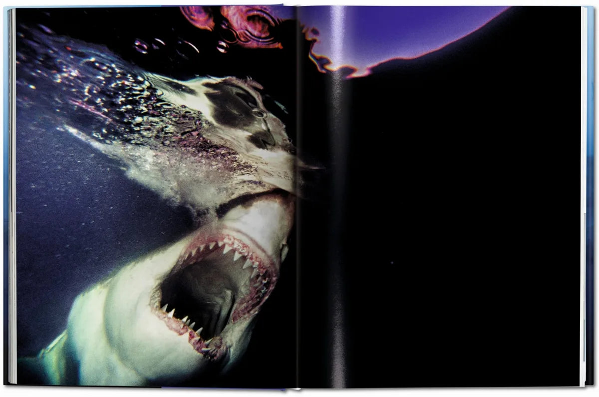 Livre Muller Sharks