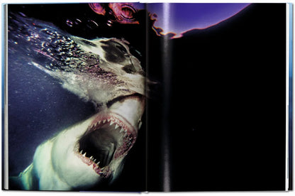 Livre Muller Sharks