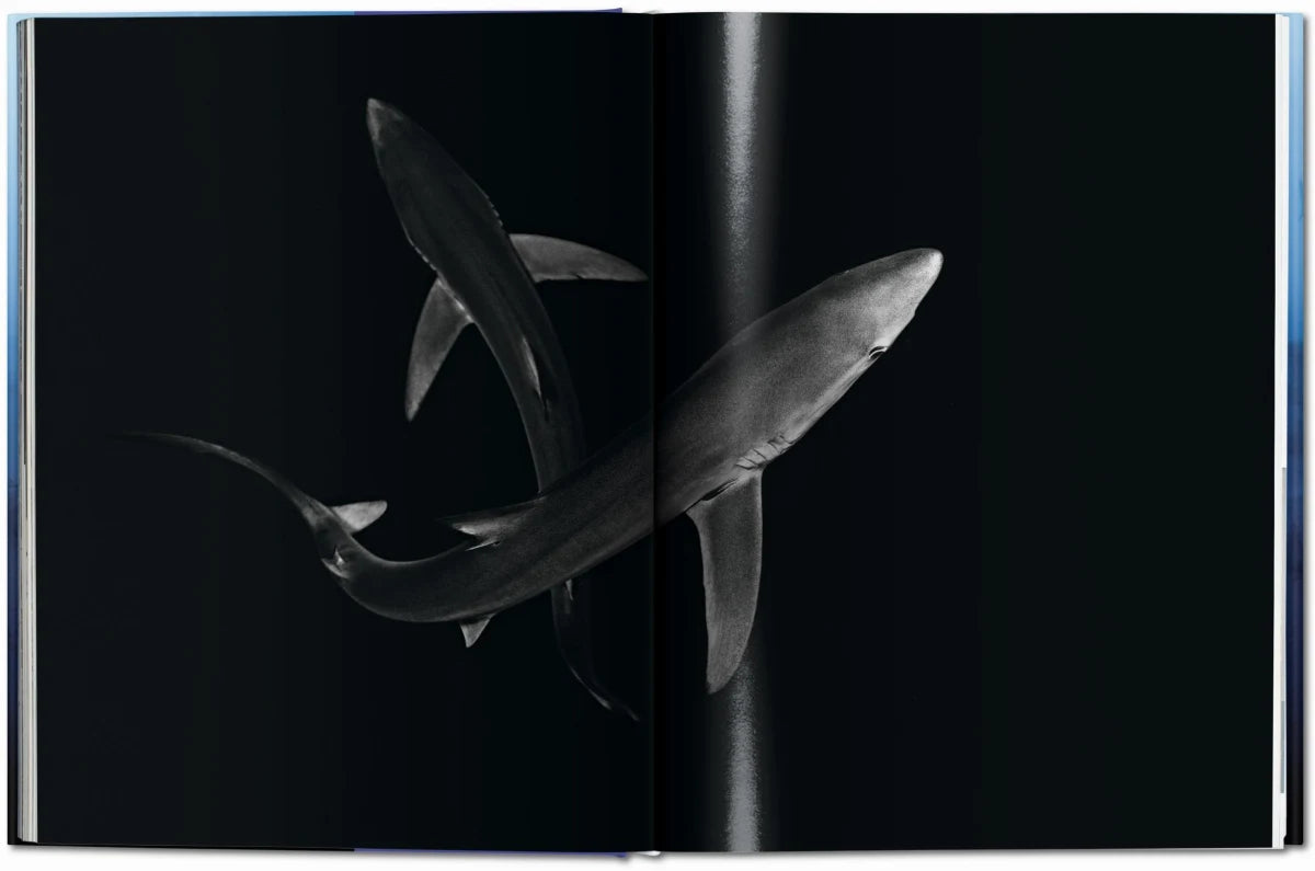 Livre Muller Sharks