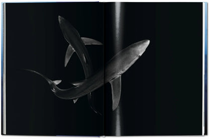 Livre Muller Sharks